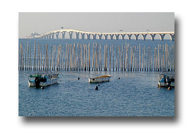 ���c�C�݂ƃA�N�A���C��